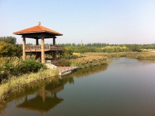天津临港生态湿地公园