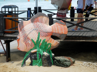 亚龙湾海底世界