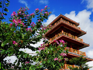 临春岭森林公园