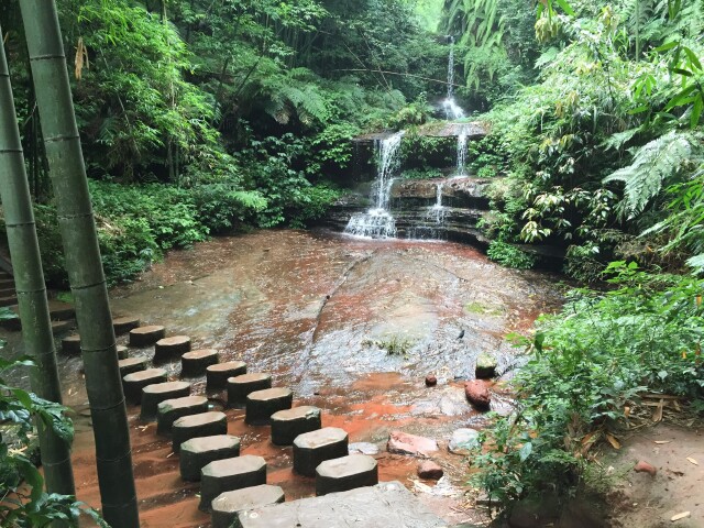 游玩时长:约1小时 《忘忧谷》:位于蜀南竹海旅游集散中心万岭小桥约一