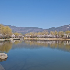 新加坡植物园