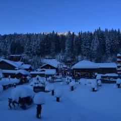 雪乡
