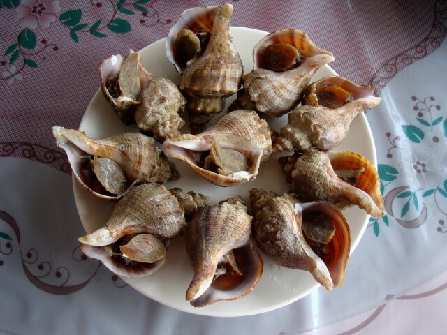 金石滩美食海螺