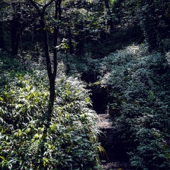 青城山