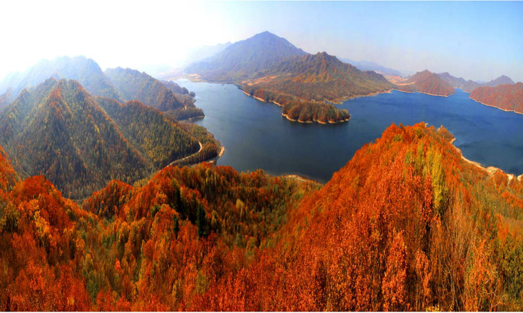 哈爾濱鳳凰山國家森林公園這裡有紅松,胡桃楸,水曲柳,黃菠蘿等珍貴