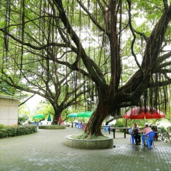 惠州西湖