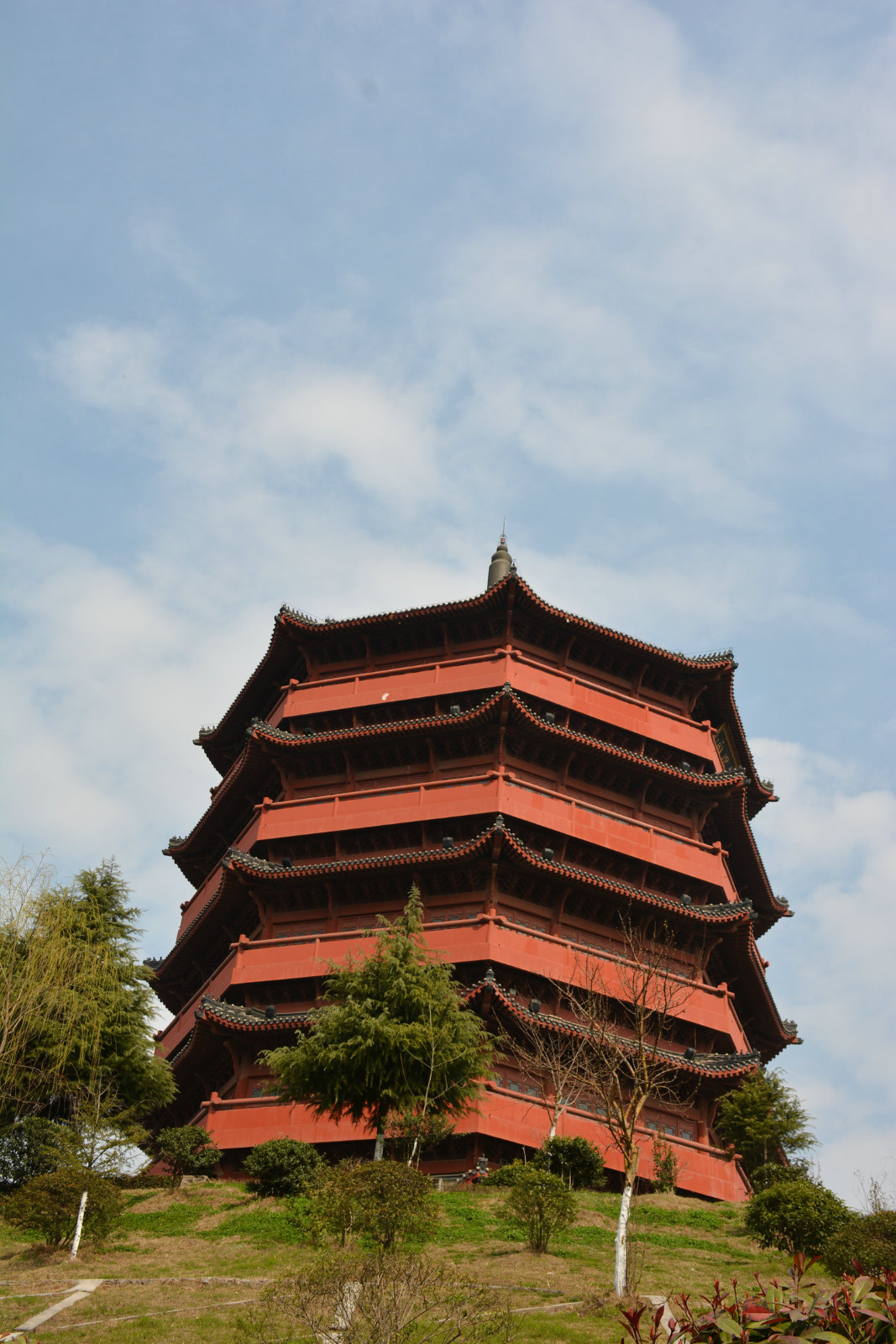 探春【河南信阳一日游】春暖花开,带雪姑娘春游茗阳阁茶韵园