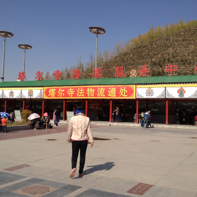 远处半山坡上的一桩桩房屋便是塔尔寺了饭后我们部分人员去游览塔尔寺