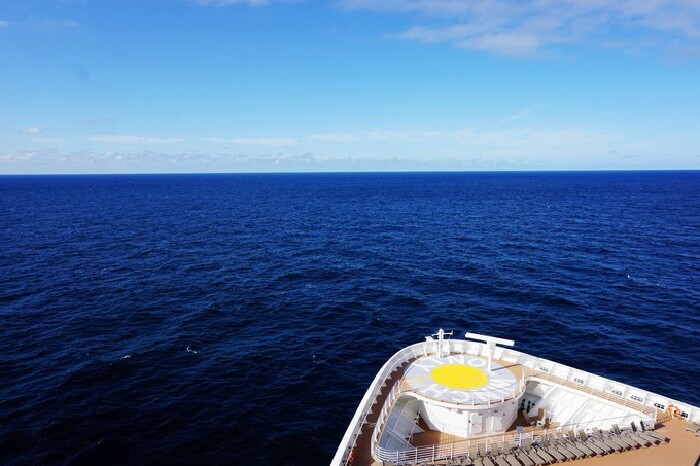 眼前,是晴朗的天空,碧蓝的大海,还有一只巨大的