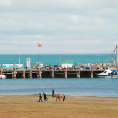 青海湖