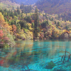 九寨沟