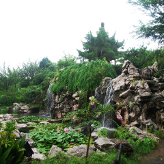 景点模块 