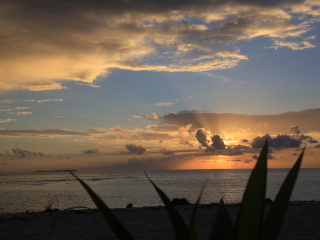 阿雅达岛度假村