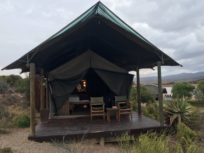 壮游非洲〕之南非肯尼亚之旅