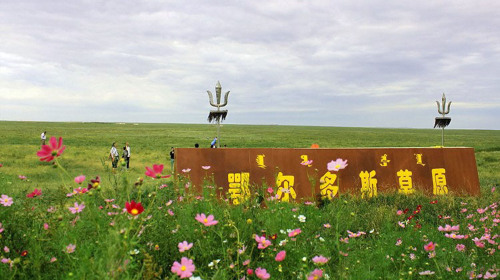  鄂尔多斯草原1日游>东胜区免费接送