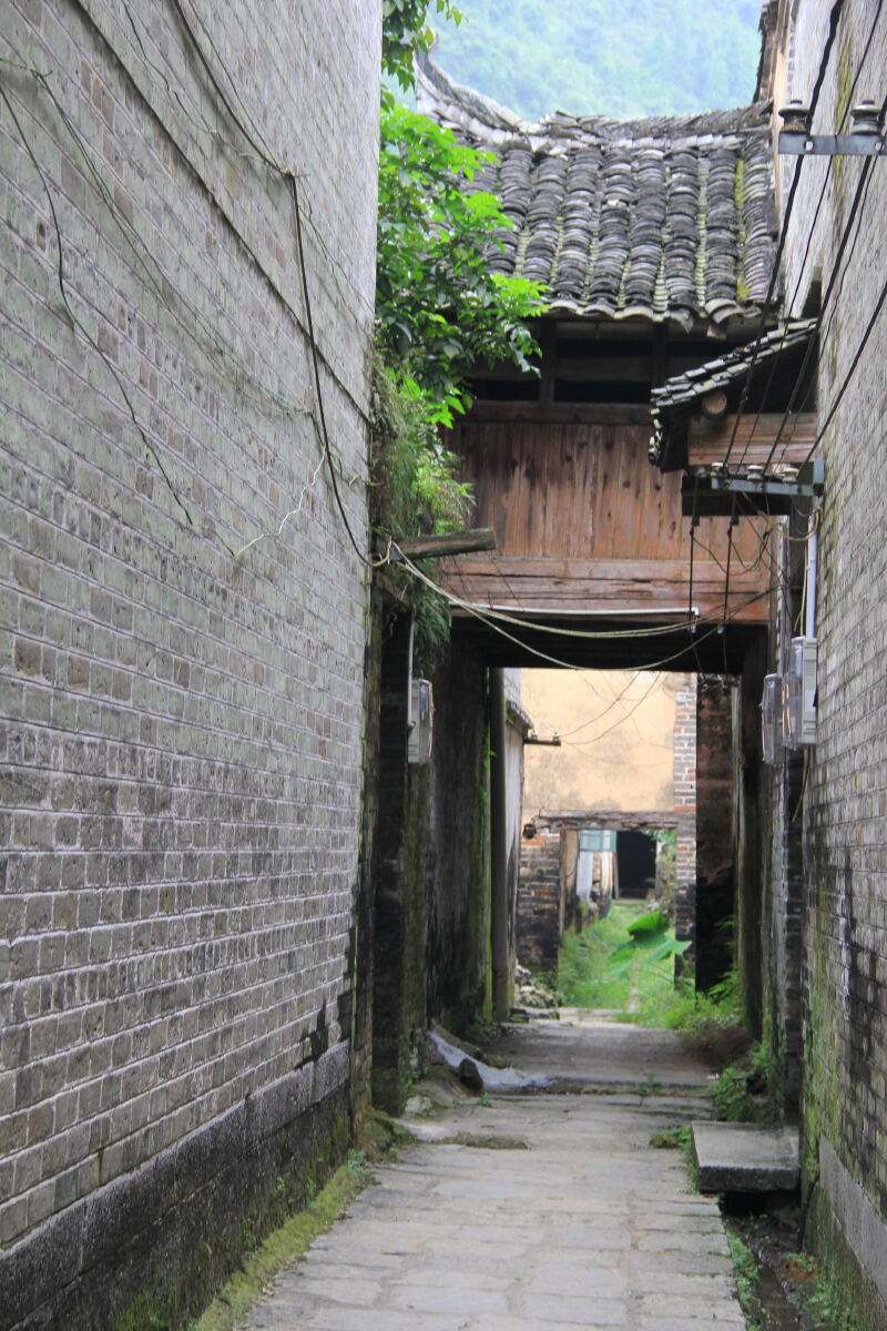 八角寨又名云台山,位于资源县东北部梅溪乡大坨村,主峰海拔814米.