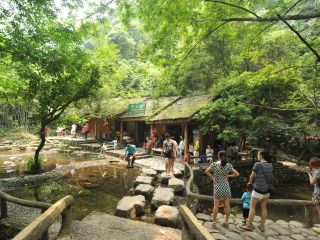 千岛湖森林氧吧