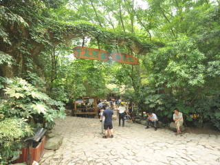 千岛湖森林氧吧