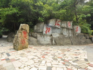 千岛湖森林氧吧