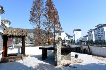 宁波老樟树精品民宿