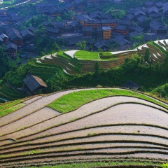 龙脊梯田