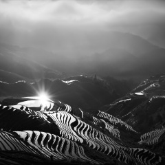 龙脊梯田