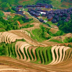 龙脊梯田