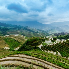 景点模块 