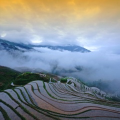 龙脊梯田
