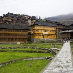 龙脊梯田