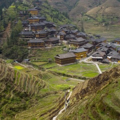 龙脊梯田