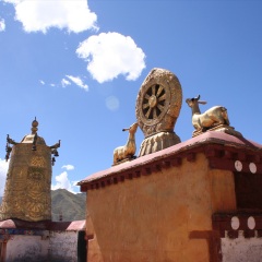 景点模块 