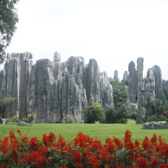 云南石林风景名胜区