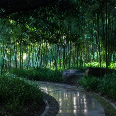 西湖