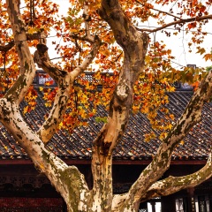 西湖