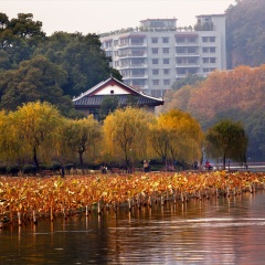西湖