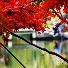 西湖