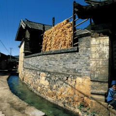 束河古镇