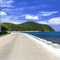 大东海