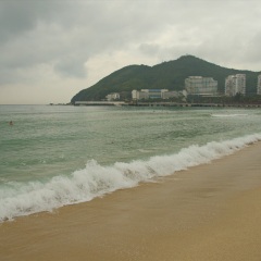 大东海