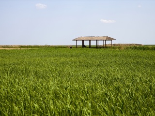 扎龙自然保护区