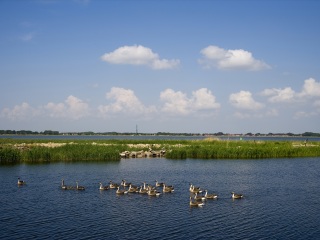 扎龙自然保护区