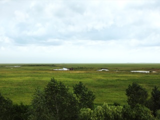 扎龙自然保护区