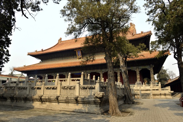 曲阜市图片