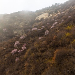 泰山风景名胜区
