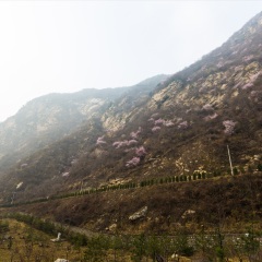 泰山风景名胜区