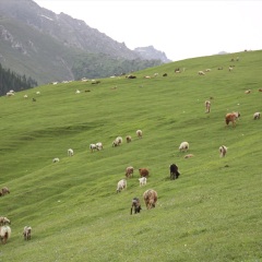南山