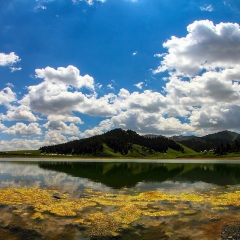 南山