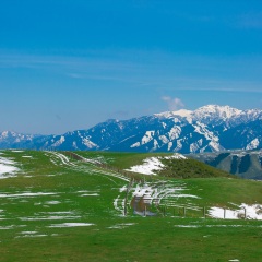 南山