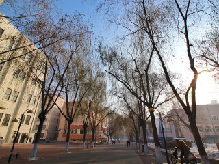 哈尔滨工业大学